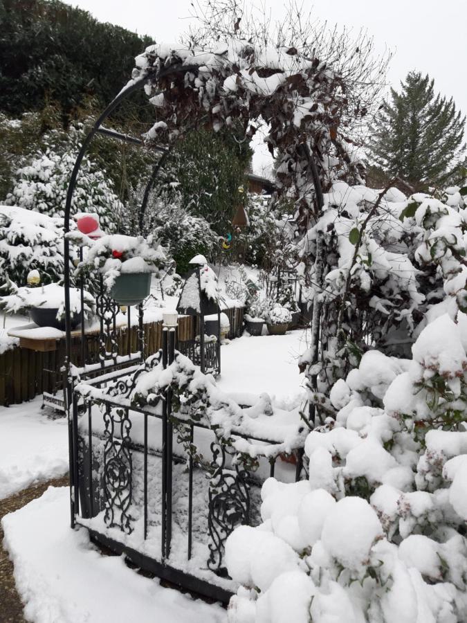 Haus Harzer Bergblick All Inklusiv Bad Lauterberg Εξωτερικό φωτογραφία